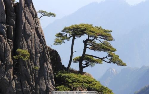 拆遷律師-安徽拆遷案例